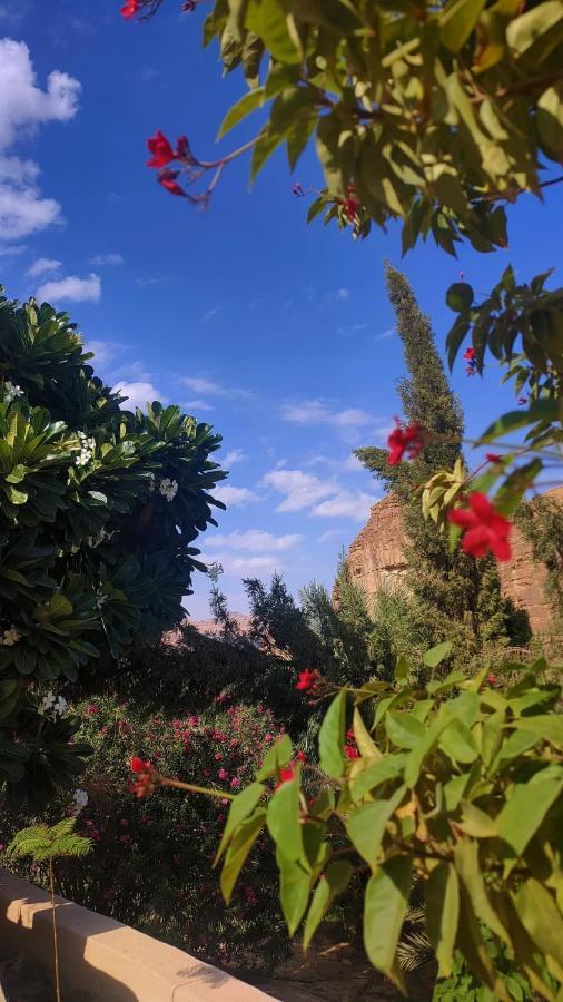 الجوهرة Diamond Plus Villa Al Ula Exterior photo