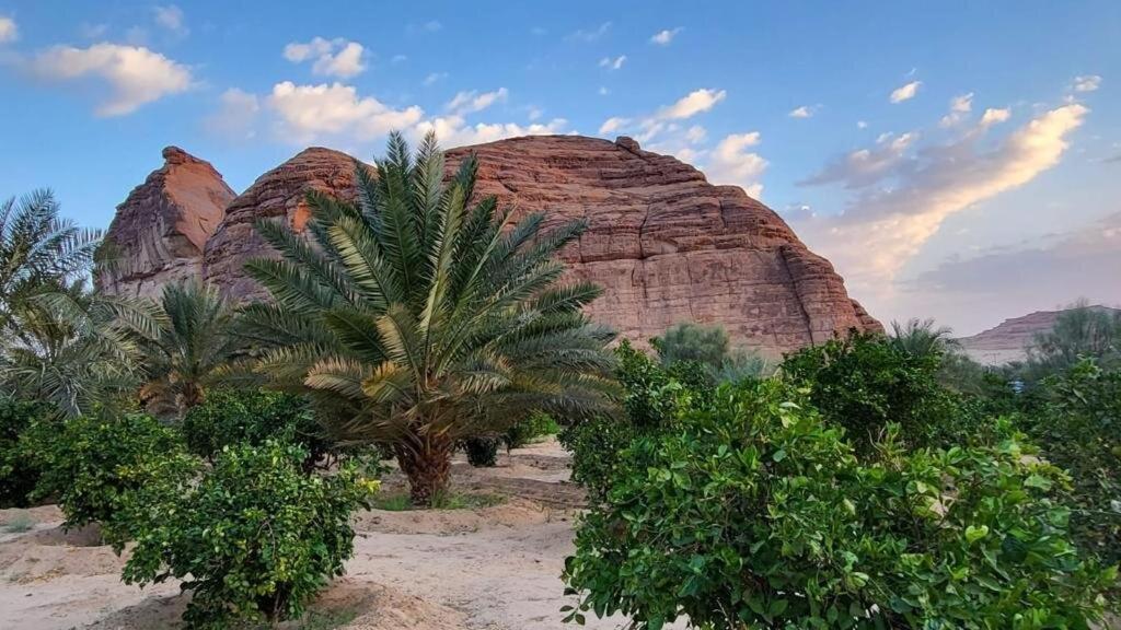 الجوهرة Diamond Plus Villa Al Ula Exterior photo
