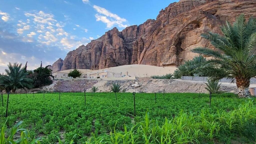 الجوهرة Diamond Plus Villa Al Ula Exterior photo